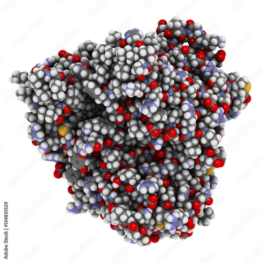 Cytochrome P450 (CYP2D6) liver enzyme in complex with the drug quinine Cytochrome P450 (CYP2D6) liver enzyme in complex with the drug quinine