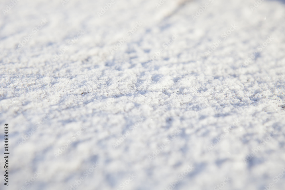 Obraz premium 雪