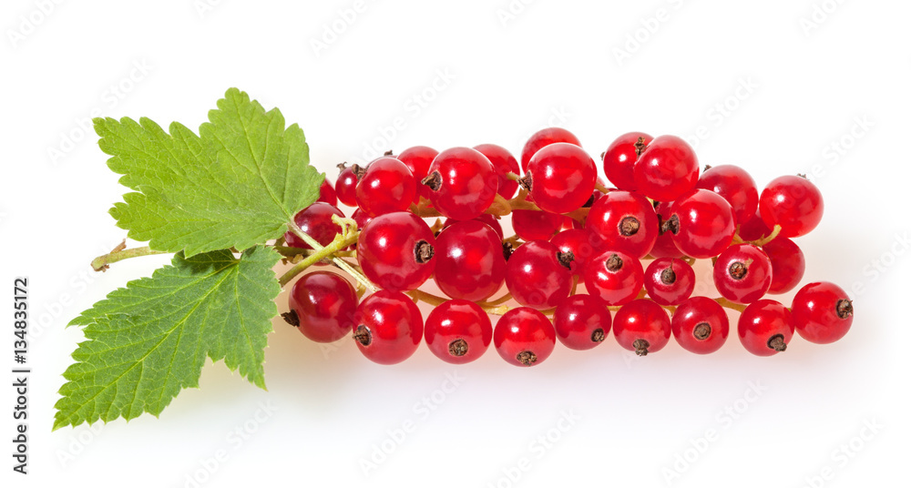 Red currant with green leaves isolated on white background Red currant with green leaves isolated on white background