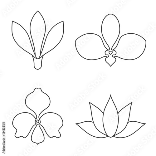 Set of flower line art vector on white background