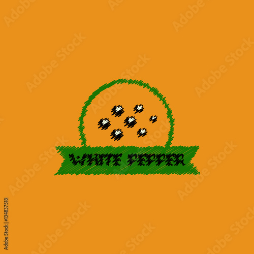 flat vector icon design collection Kitchenware seasoning white pepper