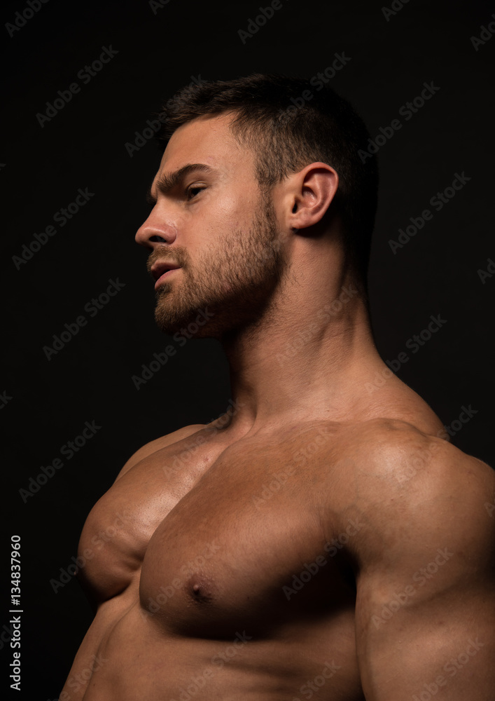 Fitness model Fitness model