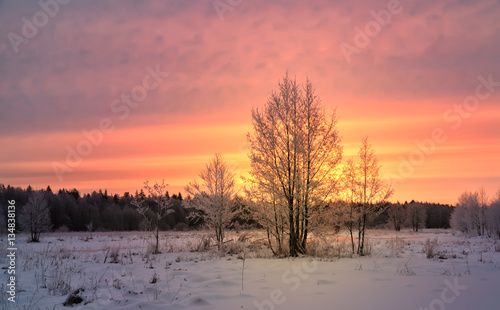 Fantastic dawn landscape in a colorful sunlight.  Instagram toning effect. Happy New Year  Dramatic wintry scene. Retro style filter. The enchanting frosty silence. Trees covered with  hoarfrost.
