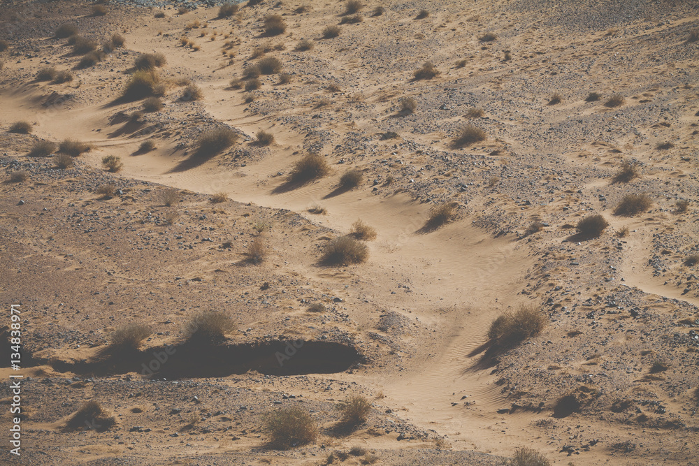 Sand dunes in the Sahara Desert, Morocco Sand dunes in the Sahara Desert, Morocco