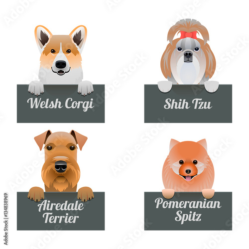 Set of cartoon dogs.