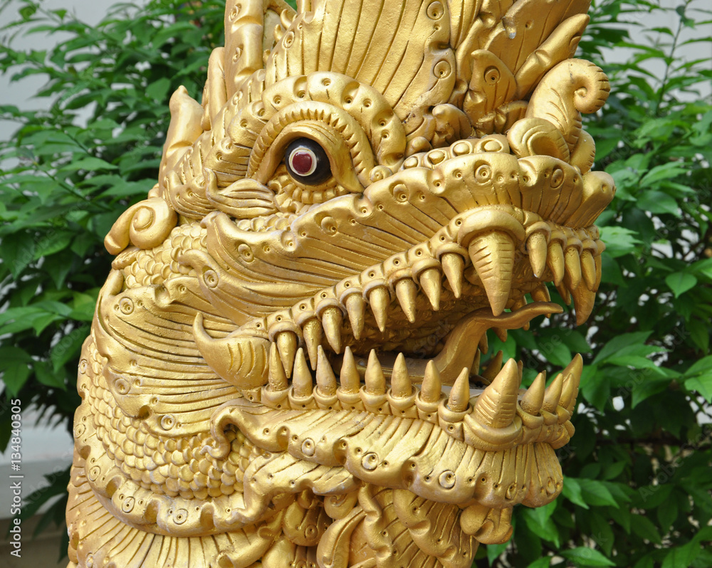 Fototapeta premium Gold Dragon