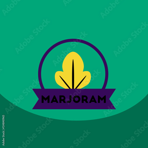 flat vector icon design collection Kitchenware seasoning marjoram