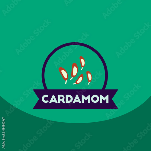flat vector icon design collection Kitchenware seasoning cardamom