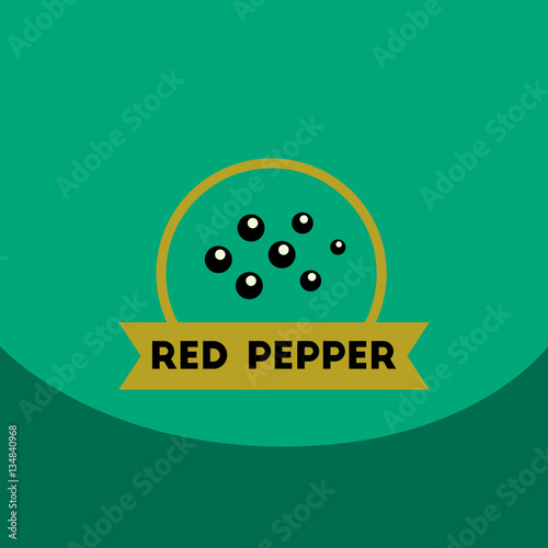 flat vector icon design collection Kitchenware seasoning red pepper