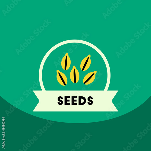 flat vector icon design collection Kitchenware seasoning seeds