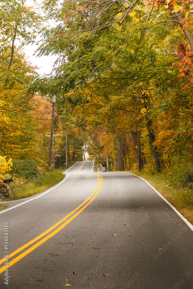 Fototapeta premium The autumn road