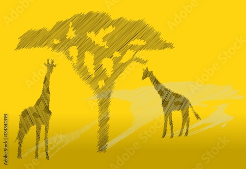 Canvas Print Africa motive with giraffes and tree hatched