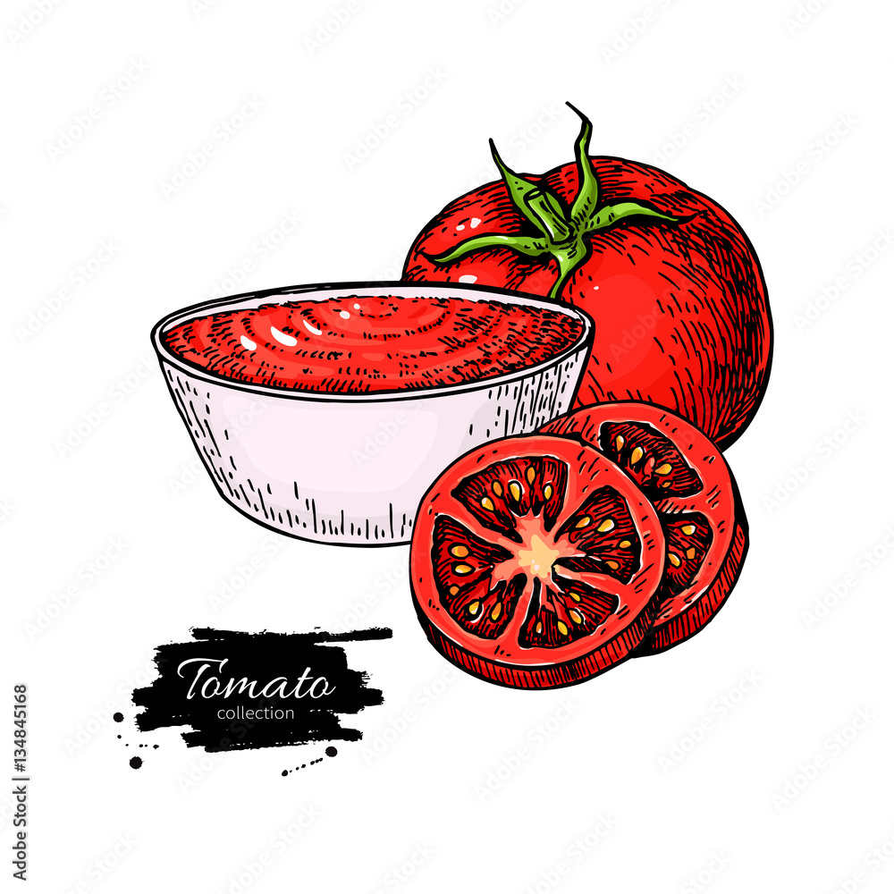 Tomato sauce Drawing. Vector isolated illustration with bowl full of