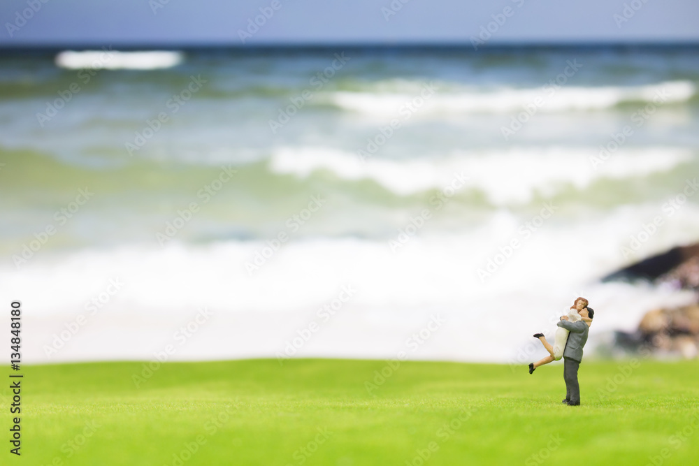 Obraz premium Miniature couple on the beach background