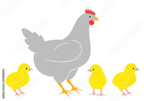 Chicken. Chick