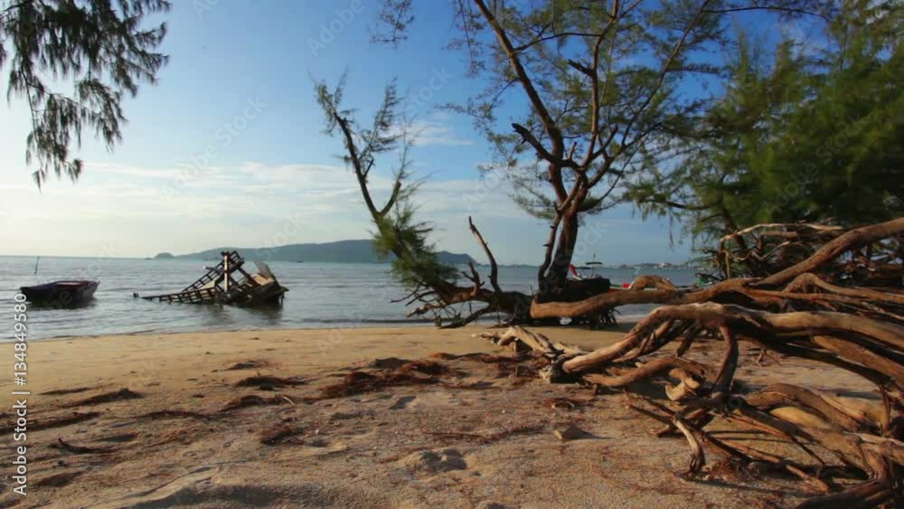 The sun shines through the pine tree the roots of the pine sea erosion pine tree falling down to the sea near shipwrecks sunk in the sea
The sun shines through the pine tree the roots of the pine sea erosion pine tree falling down to the sea near shipwrecks sunk in the sea