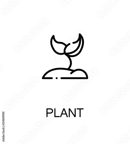 Plant flat icon