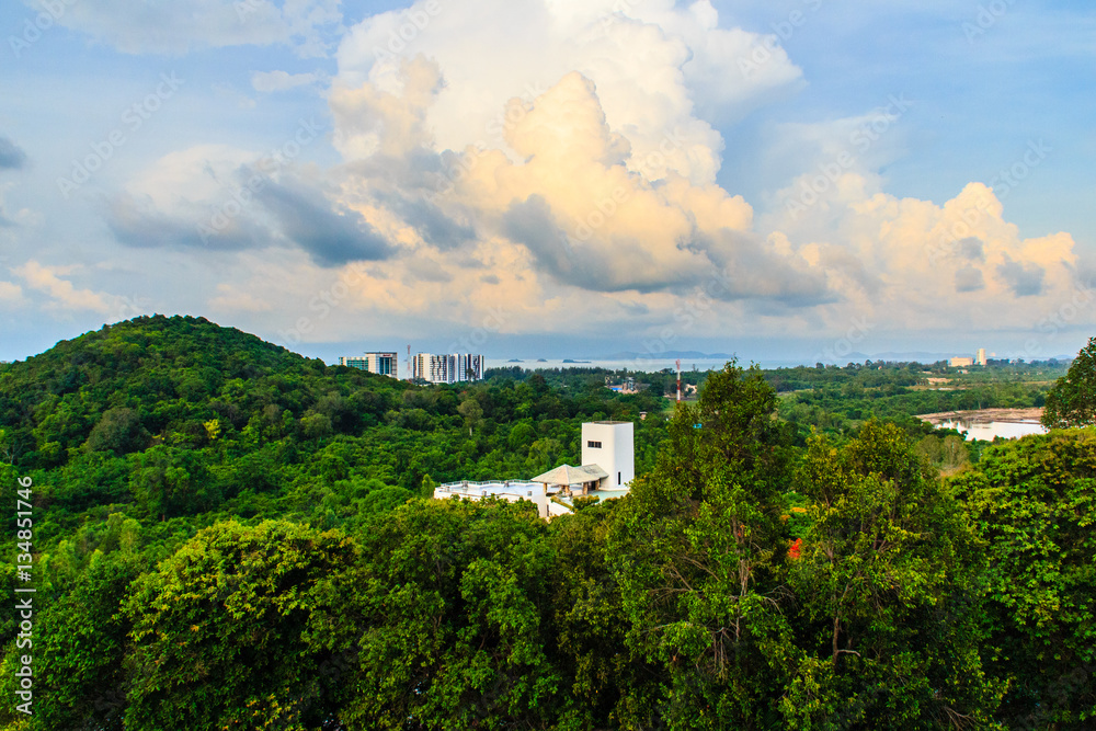 Obraz premium Evergreen forest at Hinsuay Namsai beach, Rayong, Thailand. The growth of tourism and construction of hotels and resorts made reduce area of mangrove forests. 