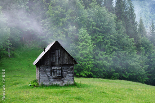 cabin, fog, forest