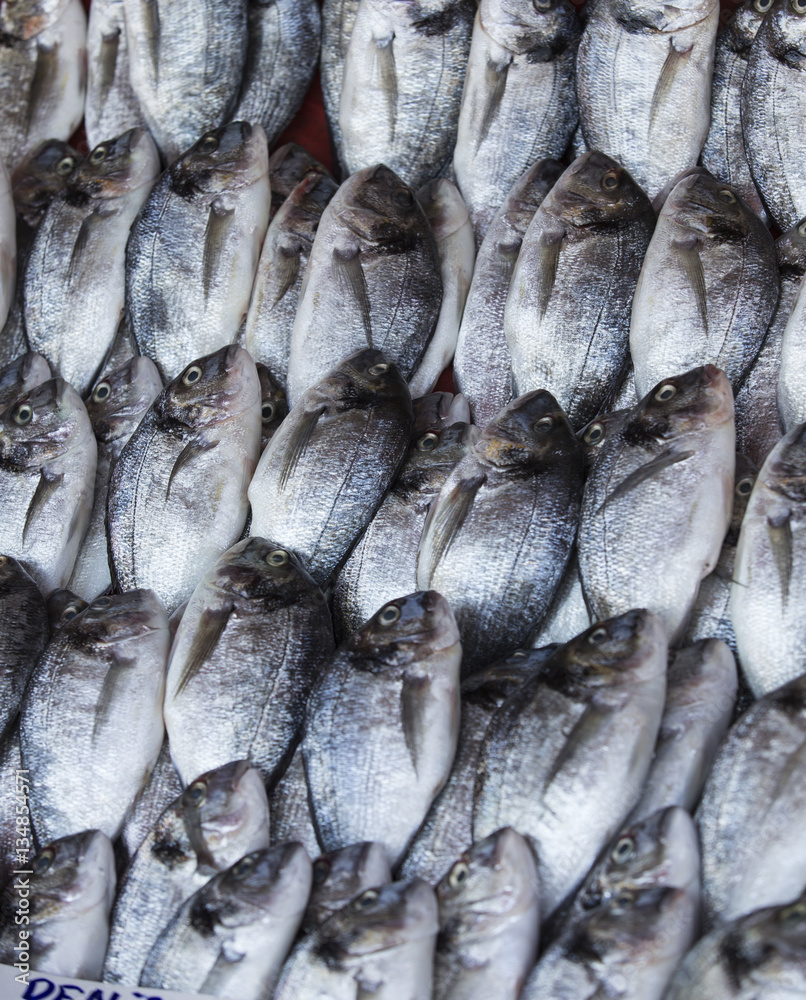 Fototapeta premium Fish on the table 