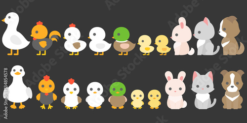Set of animals in farm, front and side of goose, mallard, chicken, hen, rooster, duck, dog and cat, flat design