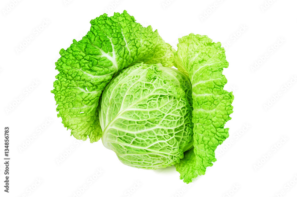 Fototapeta premium fresh Savoy cabbage