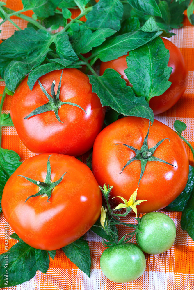 Big red fresh tomatoes