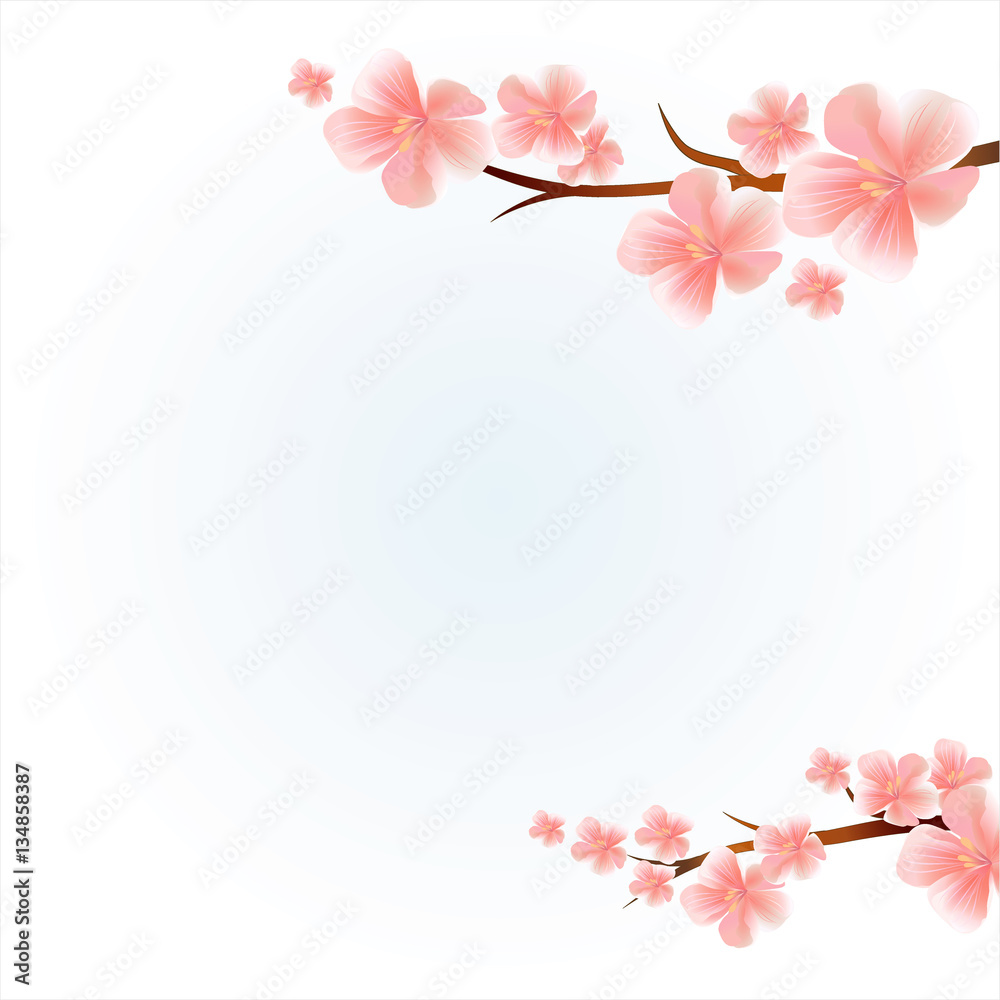 
Branches of sakura with flowers. Cherry blossom branches isolated on light Blue. Vector