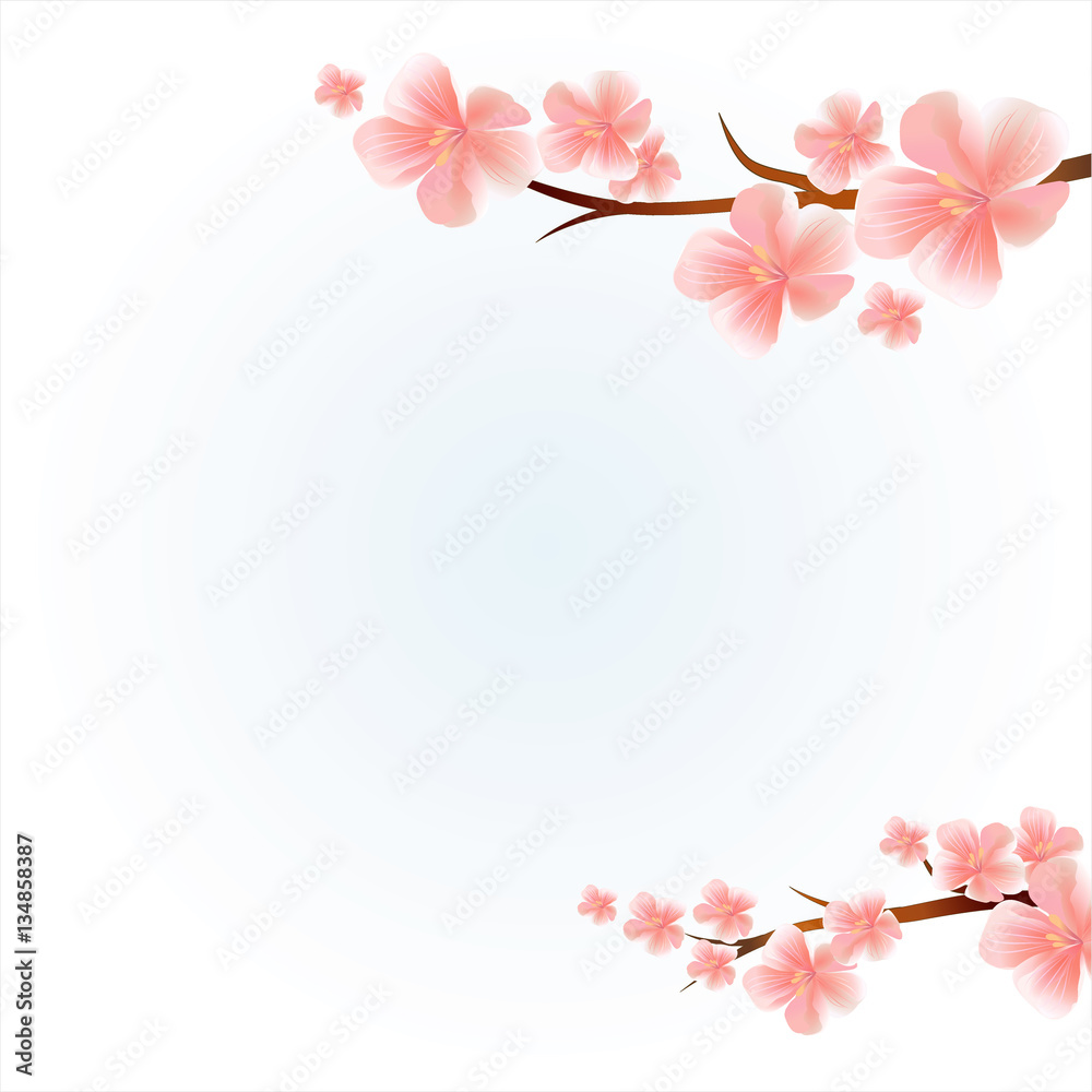 
Branches of sakura with flowers. Cherry blossom branches isolated on light Blue. Vector