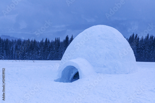 igloo, snow, winter © Volodymyr Shevchuk