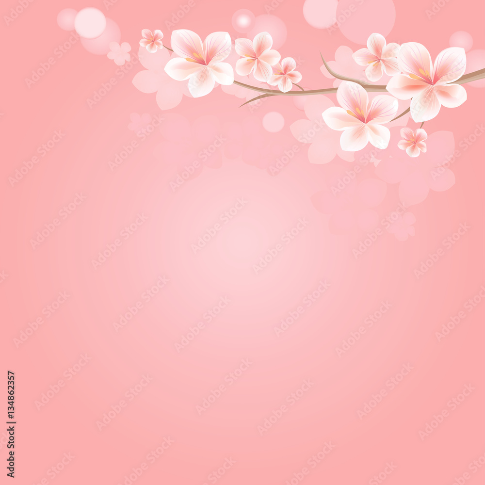 Flowers background with bokeh. Flowers design. Sakura blossoms. Cherry blossom branch on pink. Vector 