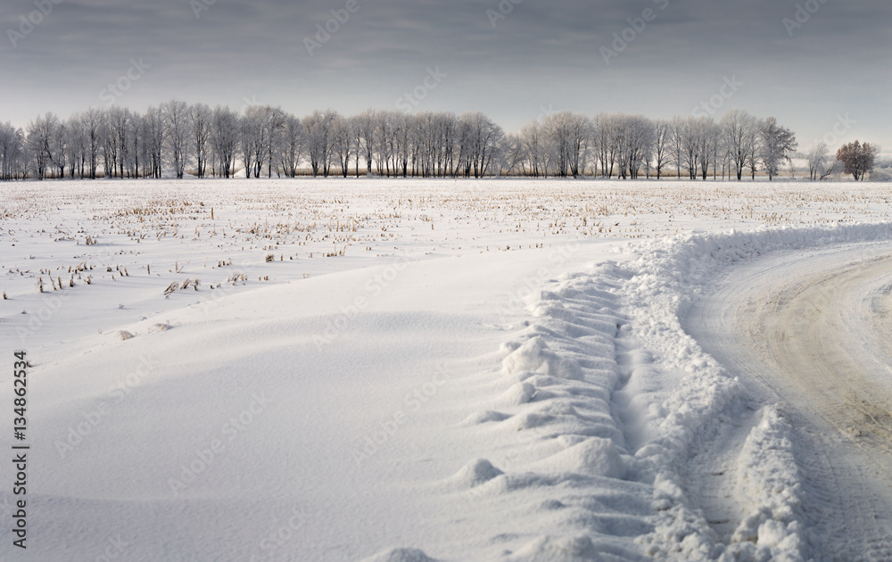 Obraz premium Winter's tale