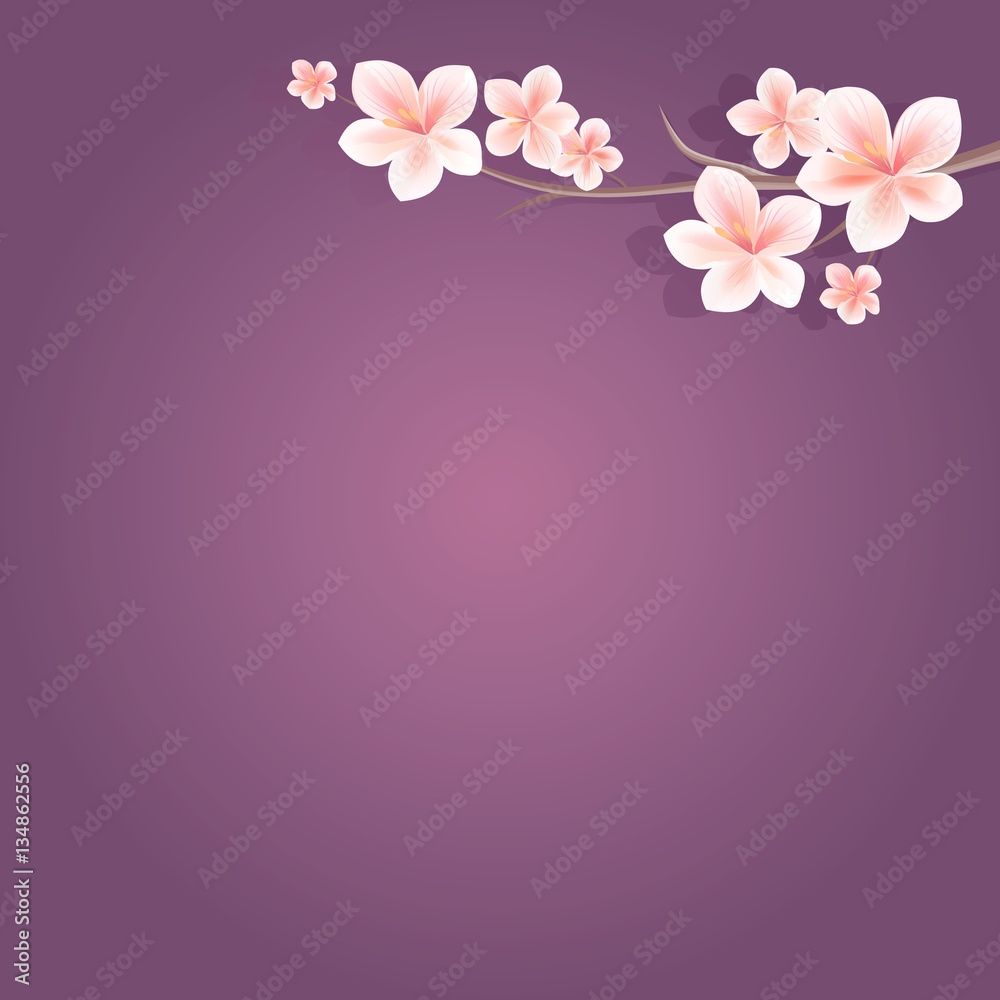 Flowers design. Flowers background. Branch of sakura with flowers. Cherry blossom branch on dark purple background. Vector 