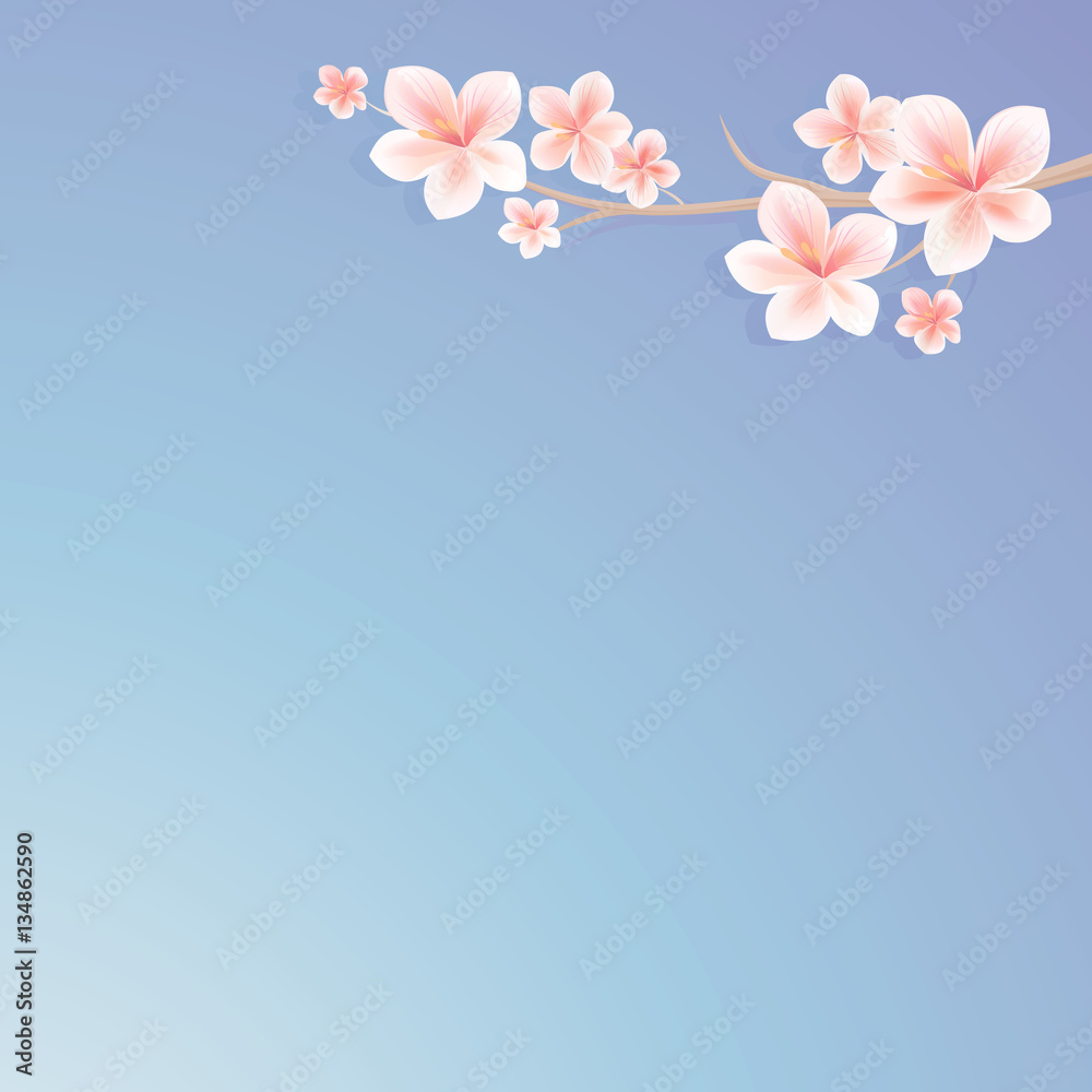 Flowers design. Flowers background. Branch of sakura with flowers. Cherry blossom branch on blue background. Vector 