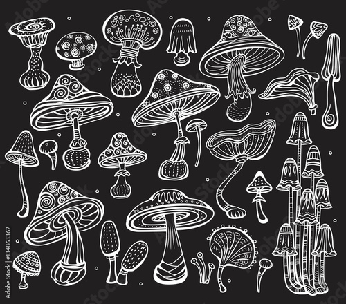 Set of Sketch of mushrooms on black