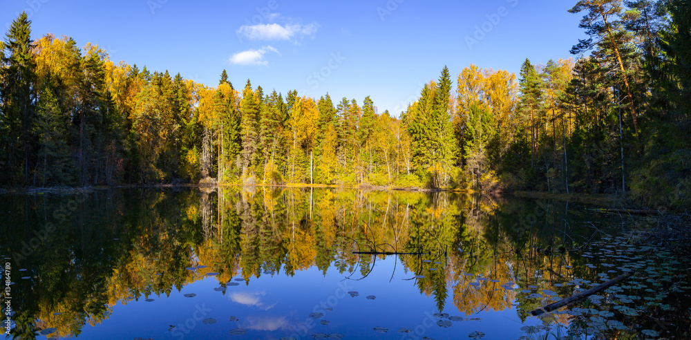 Autumn forest reflection in pond, Aegviidu, Estonia