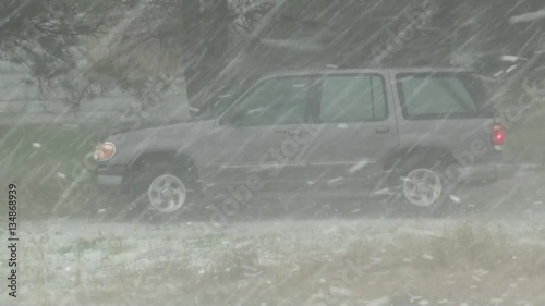 Trying to Shelter Vehicle from Hail under Tree