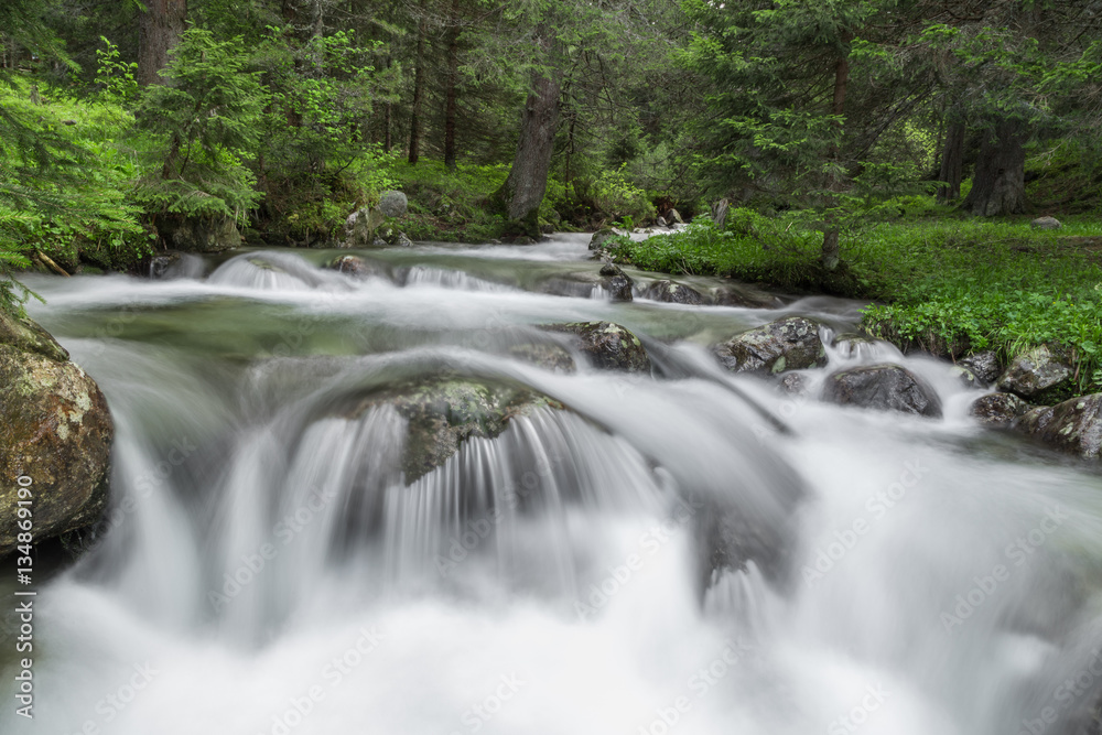 River in the mountain in spring
