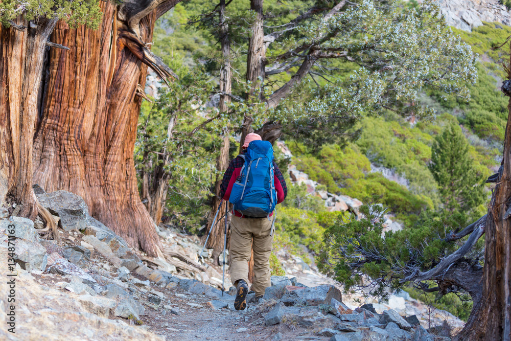 Fototapeta premium Hike in Sierra Nevada