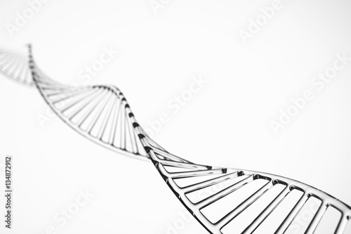 DNA strand molecule with X chromosomes