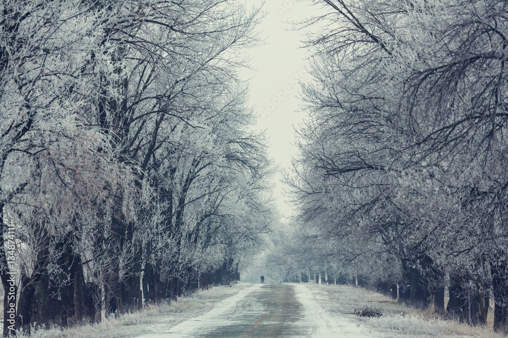 Obraz premium Winter alley