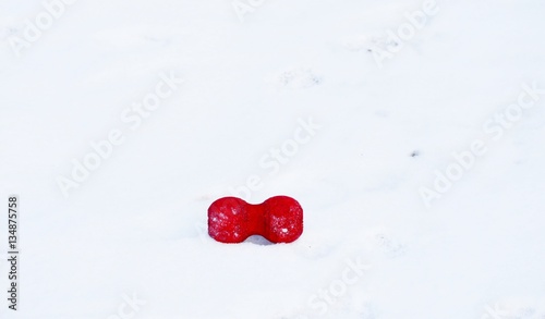 Red dog toy laying in the snow