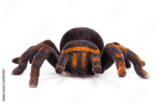 Spider stuffed animal isolated on white, front view
