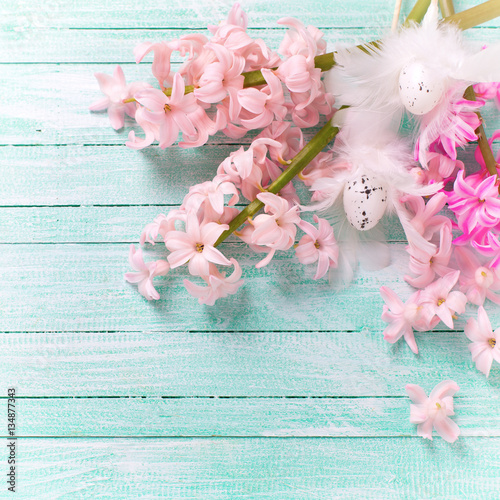 Colorful  pink  hyacinths flowers and decorative Eeaster eggs photo