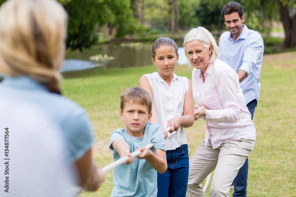 Multi-generation family pulling a rope in tug of war Multi-generation family pulling a rope in tug of war