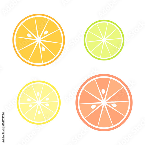 Citrus slices illustration