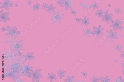 greeting card with flowers,empty blank