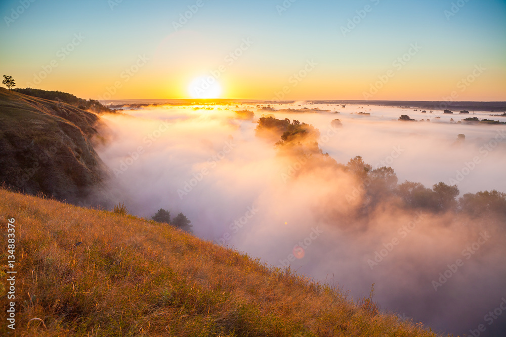 Misty dawn over the Valley and the forest