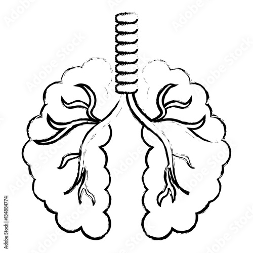 abstract lungs icon image vector illustration design 