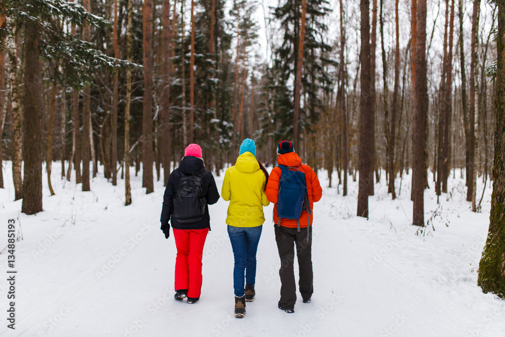 Friends in picturesque winter forest